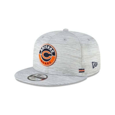 Grey Chicago Bears Hat - New Era NFL Official NFL Fall Sideline 9FIFTY Snapback Caps USA6049213